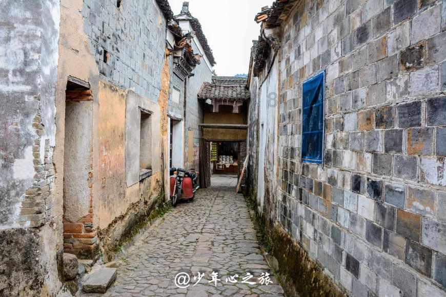 李大根和雅梅是哪本小说的主角游戏画面